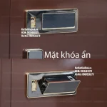 Két sắt nhập khẩu Black Shark FDG-A1/D91Z6 vân tay điện tử cao cấp