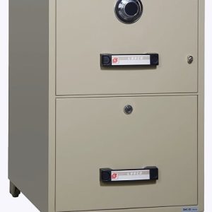 Tủ hồ sơ chống cháy Leeco TB4C-2D 2 tầng